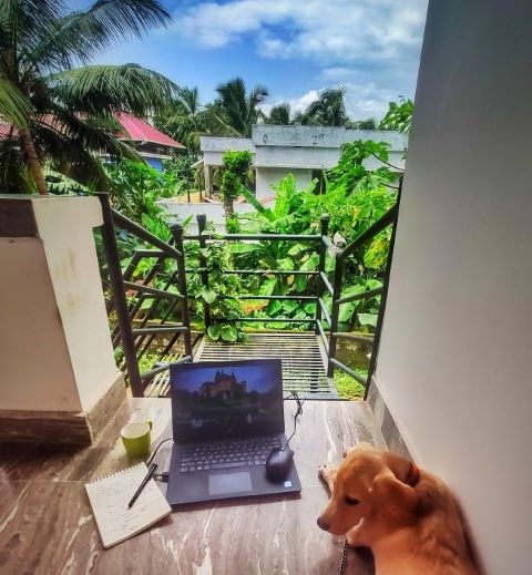 My typical work day in the comfort of home sweet home with Choco!
